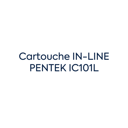 Cartouche IN-LINE PENTEK IC101L