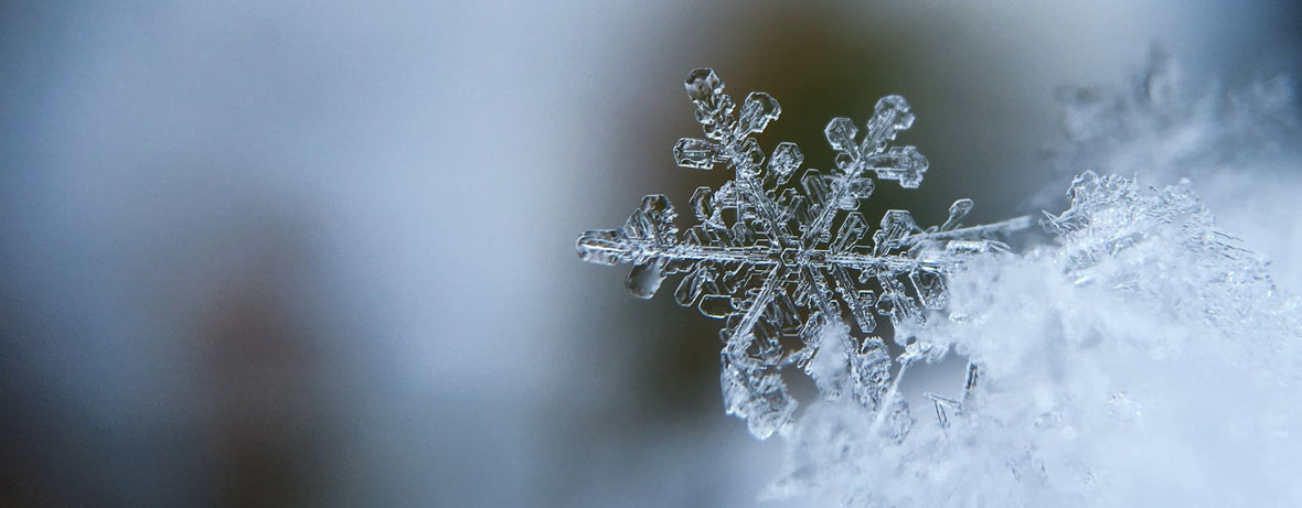 Bien entretenir sa microstation ou son assainissement non collectif cet hiver