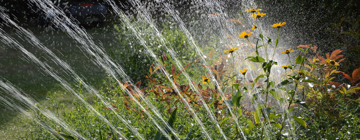 Eeau de pluie pour arrosage automatique du jardin