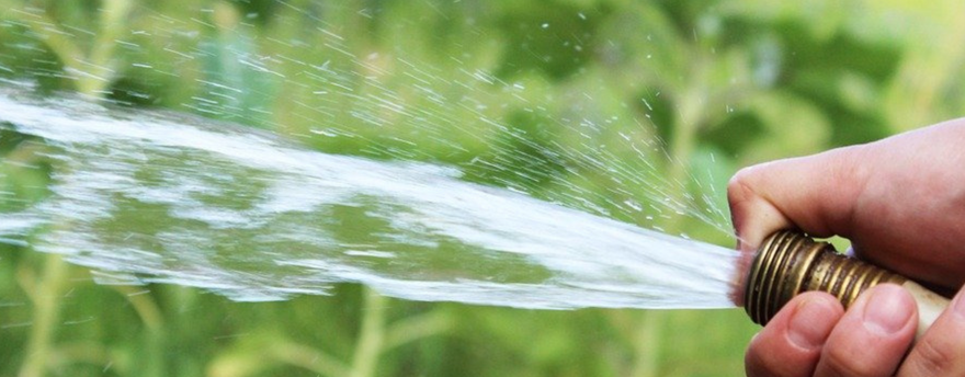Eau qui sort d'un tuyaux d'arrosage dans un jardin